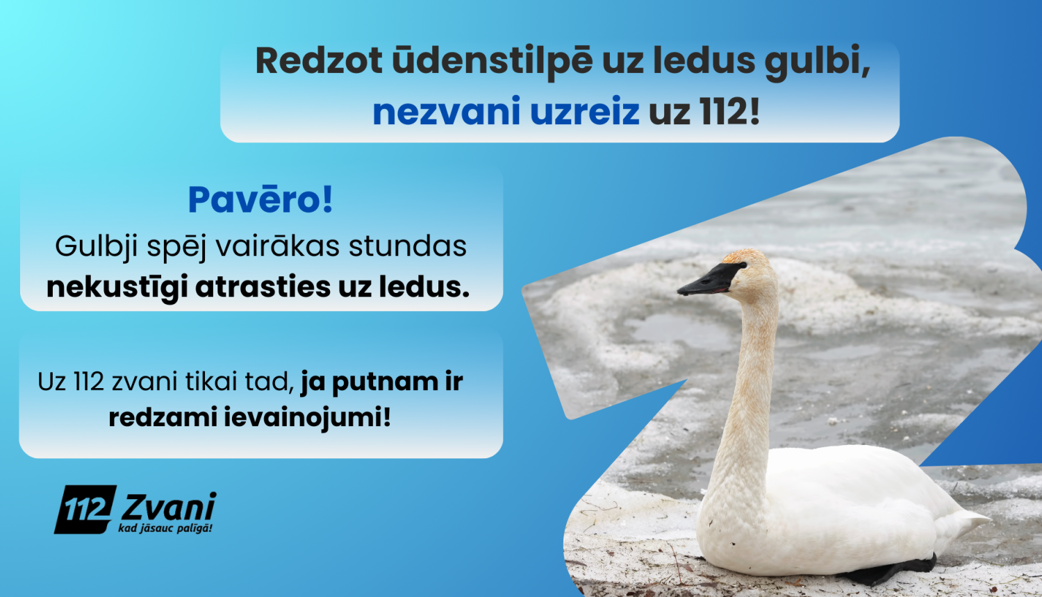 No gaiši zila un tumšāk zilu pārejošs fons. Labās malas apakšējā daļā balts gulbis, kas sēž uz ledus. Vizuāļa vidū teksts: Redzot ūdenstilpē uz ledus gulbi, nezvani uzreiz uz 112! Zemāk ieteikums putnus pavērot, kā arī informācija, kādos gadījumos zvanīt uz 112. Zem tekstiem melns 112 logo.